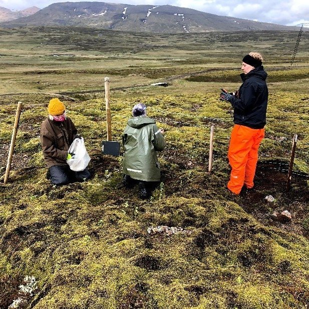 Frá sýnatöku á Mosfellsheiði. Ljósmynd: Björn Traustason
