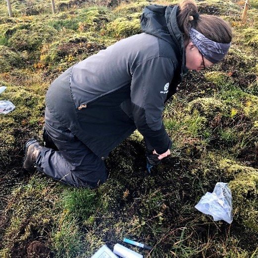 Jóhanna tekur sýni á Mosfellsheiði. Ljósmynd: Björn Traustason