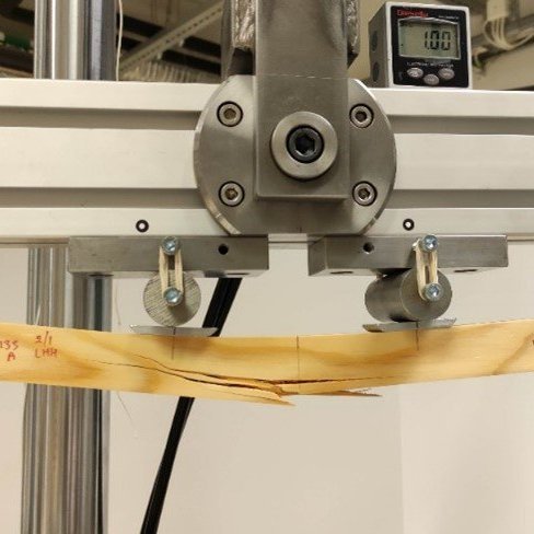 Álagsprófun á íslensku lerki 2. Ljósmynd: Ólafur Eggertsson