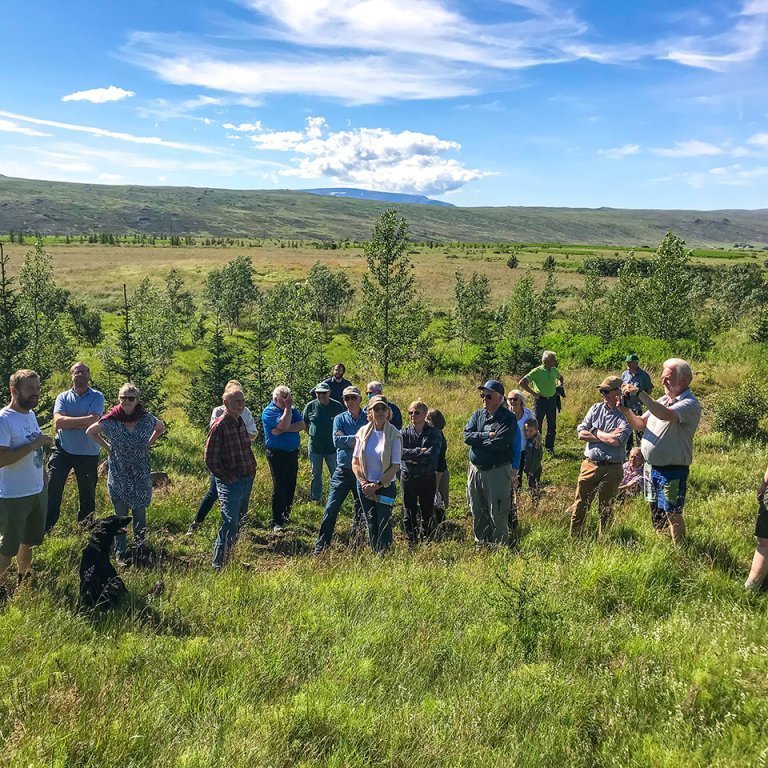 Skógarganga að Tungufelli Lundarreykjadal. Ljósmynd: Sigríður Júlía Brynleifsdóttir