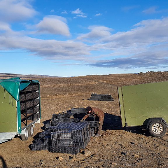 Trausti skógarvörður safnar saman bökkum eftir gróðursetningu í Hekluskógum. Ljósmynd: Hreinn Óskarsson