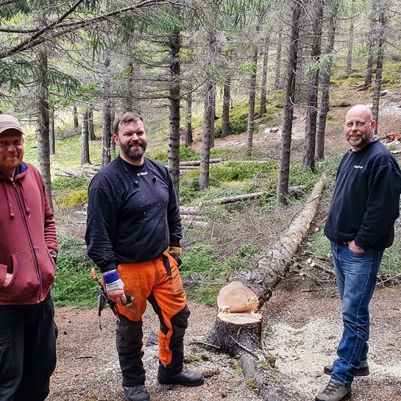 Charles J. Goemans, verkefnastjóri sjálfboðastarfs á Þórsmörk, Trausti Jóhannsson, skógarvörður á Suðurlandi, og Jón Þór Birgisson skógræktarráðgjafi skoða grisjun í sitkagreniskógi. Ljósmynd. Hreinn Óskarsson