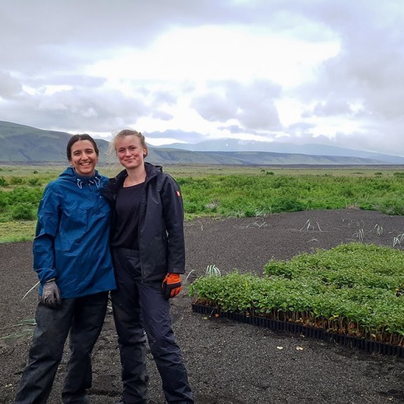 Gróðursetning á Hekluskógasvæðinu. Ljósmynd: Trausti Jóhannsson