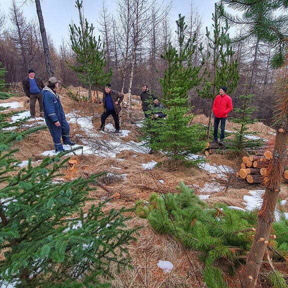 Skógarverðir skeggræða við sérfræðinginn Lárus. Frá vinstri: Valgeir Davíðsson, Lárus Heiðarsson, Rúnar Ísleifsson Jón Auðunn Bogason, Trausti Jóhannsson og Jóhannes H Sigurðsson. Ljósmynd: Hreinn Óskarsson