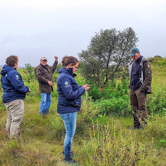 Fulltrúar frá Land Life í heimsókn í fylgd Trausta skógarvarðar, Þrastar skógræktarstjóra, Hreins, sviðstjóra þjóðskóganna og Aðalsteins fagmálastjóra. Ljósmynd: Trausti Jóhannsson.